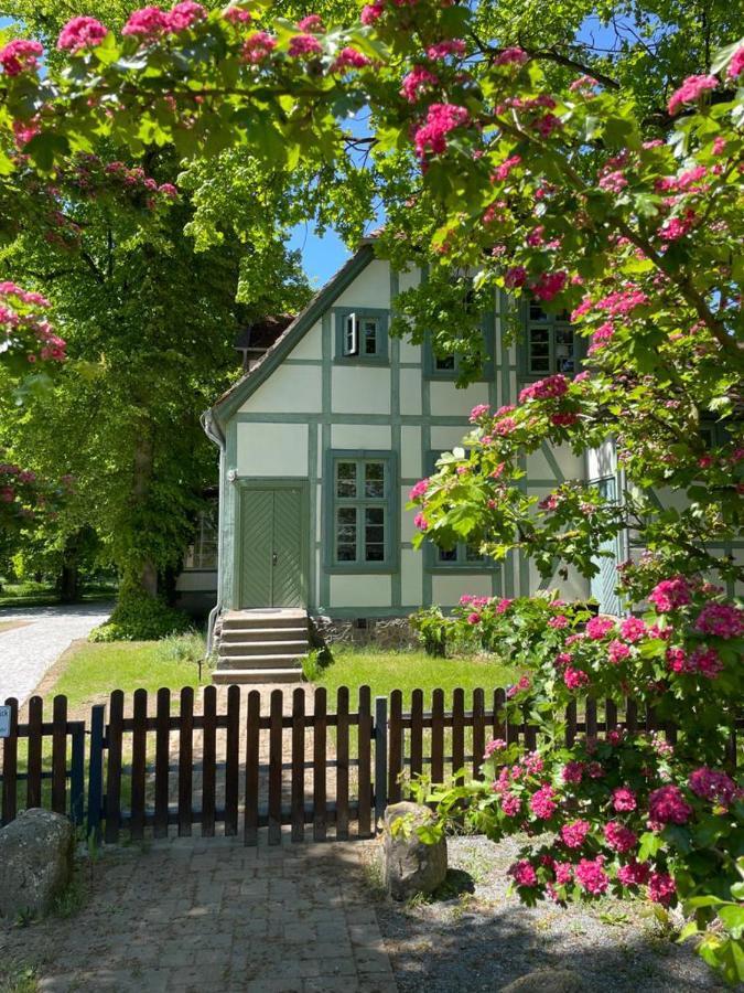 Jagdschloss Friedrichsmoor Neustadt-Glewe Zewnętrze zdjęcie
